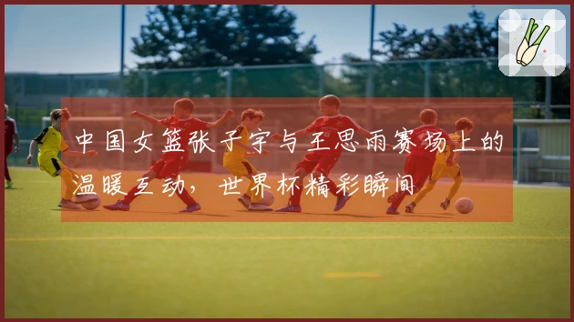 中国女篮张子宇与王思雨赛场上的温暖互动，世界杯精彩瞬间